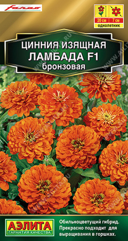 Циния Ламбада бронзовая 12шт Аэлита