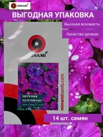 Петуния мультифлора Дот Стар F1 синяя
