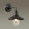 4965/1W NATURE ODL22 713 черный/стекло Ландшафтный настен.светильник E27 1*60W IP44 CAMPA