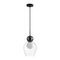 Подвесной светильник Odeon Light Blacky 5023/1