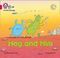 Big Cat Phonics - Mog And