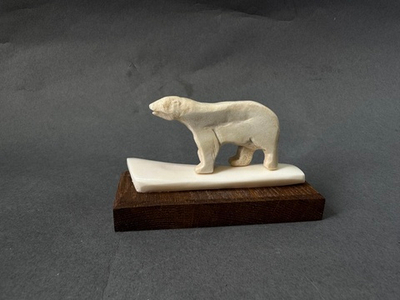 Медведь белый