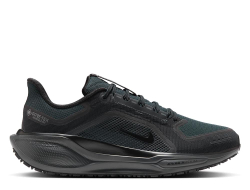 Кроссовки для бега мужские Nike Pegasus 41 Gore-Tex M Чёрные