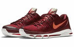 Кроссовки Nike Kd 8 Perserverance 8