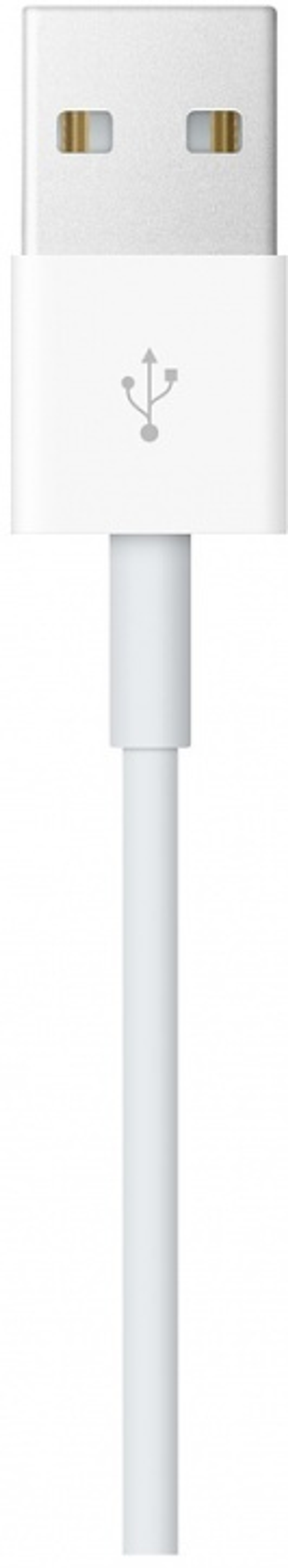 Зарядное устройство Apple Magnetic Charging для Apple Watch 1 метр