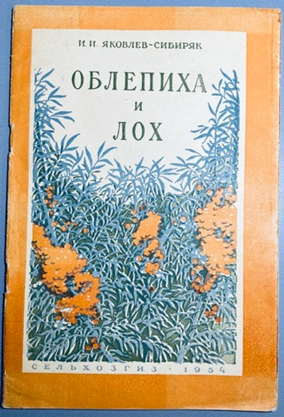 И.И. Яковлев-Сибиряк: Облепиха и лох