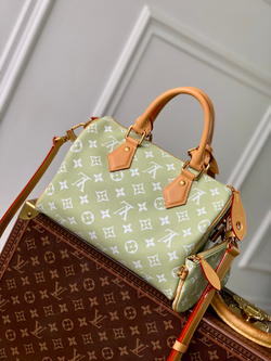Louis Vuitton Speedy P9 Bandouliere 25