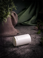 Солонка 58мм CHOPIN GOLD