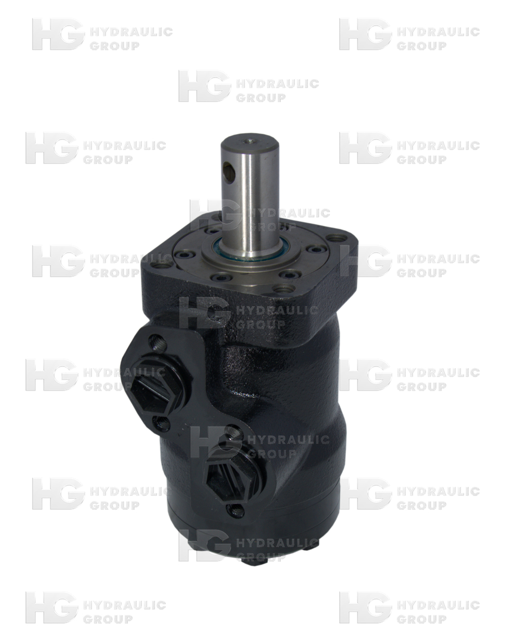 Гидромотор героторный MPQ 100 HDP-01/4