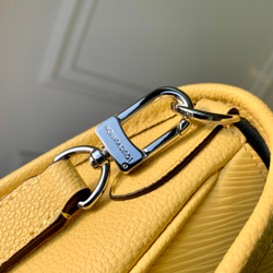 Louis Vuitton Buci Bag
