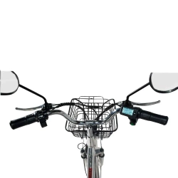 Электровелосипед Jetson PRO MAX 20D (гидравлика)