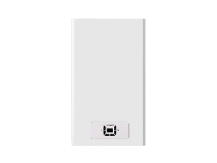 Газовый настенный двухконтурный котел 24 кВт FED