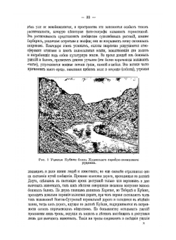 Материалы для изучения карачаевцев | И.С. Щукин