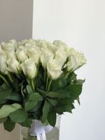 .Букет из белой розы (40см)  51 шт под ленту