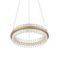 Подвесной светодиодный светильник ST Luce Cherio SL383.203.01