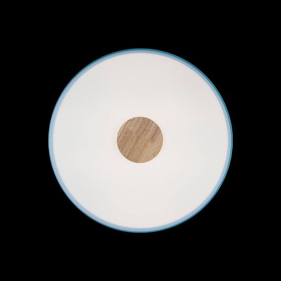 Потолочный светодиодный светильник Loft IT Axel 10003/24 blue