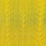 Arte Amazone 2 Fierce – 23505