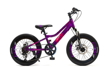 Велосипед HOGGER URBAN MD 20