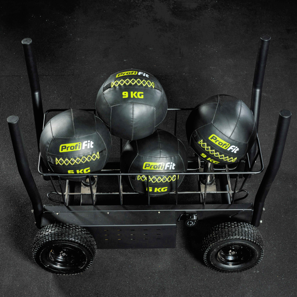 Сани-тележка для функционального тренинга ТАНГЕН