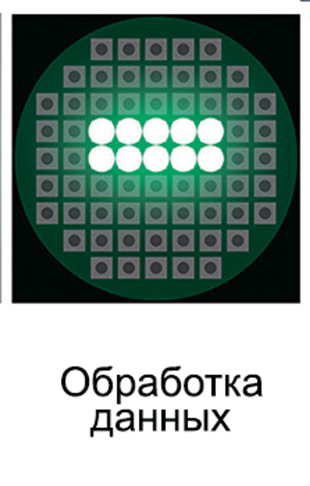 ТехноВектор (7202 KAS) стенд сход-развал 3D