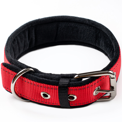 Ошейник для собак с мягкой подкладкой (красный)Застежка ременная пряжка (PetOpt)