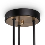 Потолочная люстра Freya BOGY FR5377CL-06B