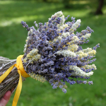 Букет сухоцветов Лаванда и Лимонник