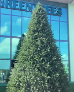 Большая елка «Финская» (Литая+пвх) 4 м