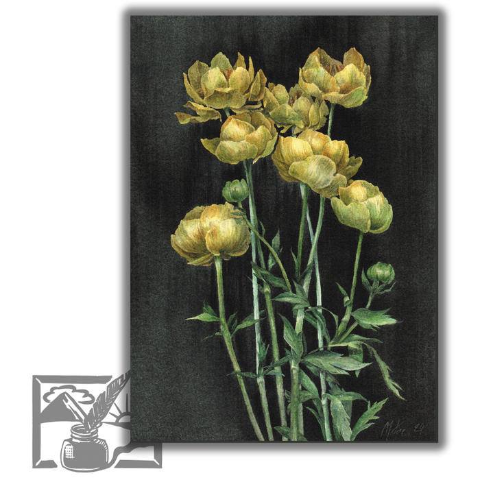 Открытка почтовая. Гасымова Мария. Купальницы