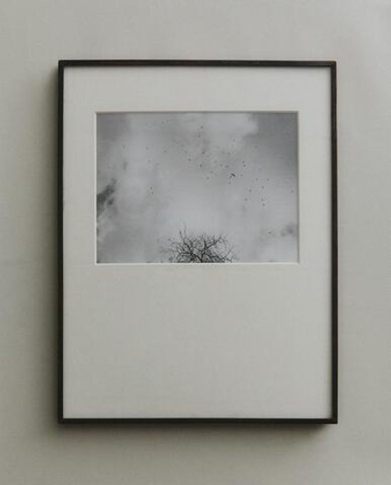 Zara Home Фоторамка из стекла, цвет чёрный, 30 см