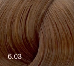 6.03 Бутикле 100 мл краска для волос