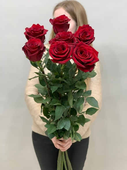 Букет 7 метровых роз красные в ленте