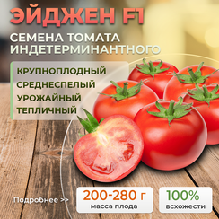 ЭЙДЖЕН F1 семена томата (Enza Zaden | Alexagro)