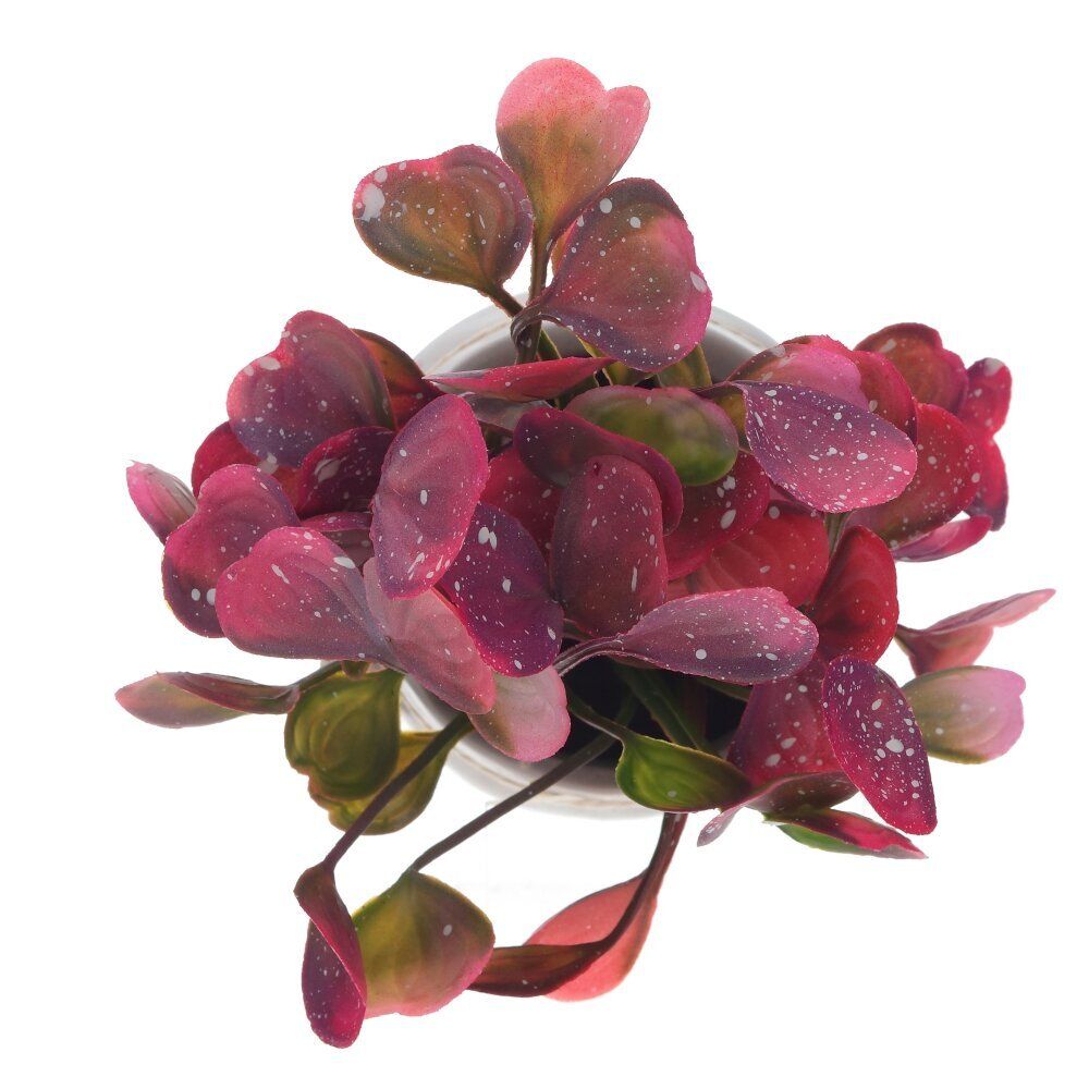 GAEM Цветочная композиция, L12 W12 H18 см