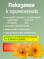 ГОМЕОПАТИЧЕСКИЙ БАЛЬЗАМ КАЛЕНДУЛА 25 г