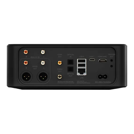 Bluesound NODE Icon (N530)