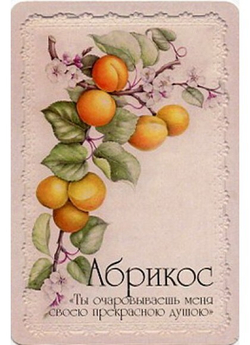 Оракул Селам или Язык Цветов