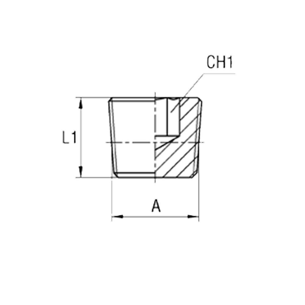 Заглушка (Ш) NPT 1.1/2"