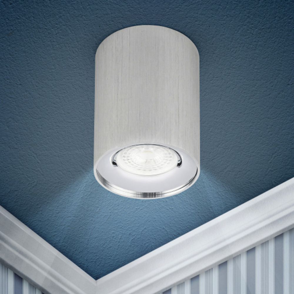 Светильник настенно-потолочный спот ЭРА OL1 GU10 SL/CH под лампу MR16/GU10 серебро/хром IP20