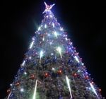 Уличная Гирлянда: холодный белый "Тающие сосульки" для елок от 3 до 19 м