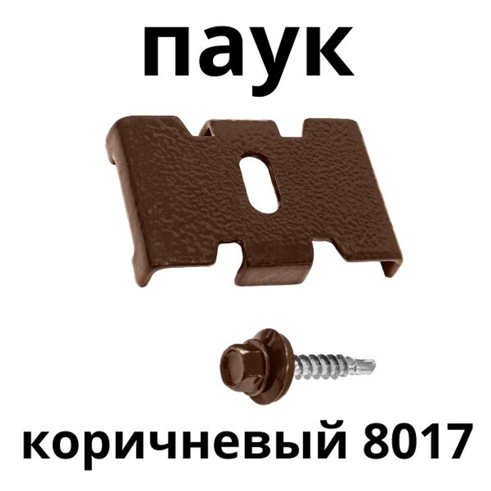 паук коричневый