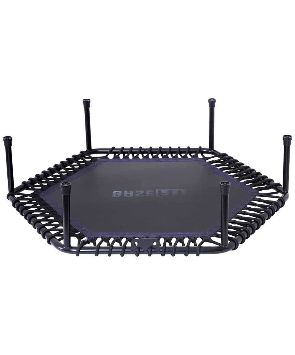 УЦЕНКА Батут TR-401 122 см с держателем, фиолетовый