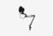 Fiero Vocal_0226529101732