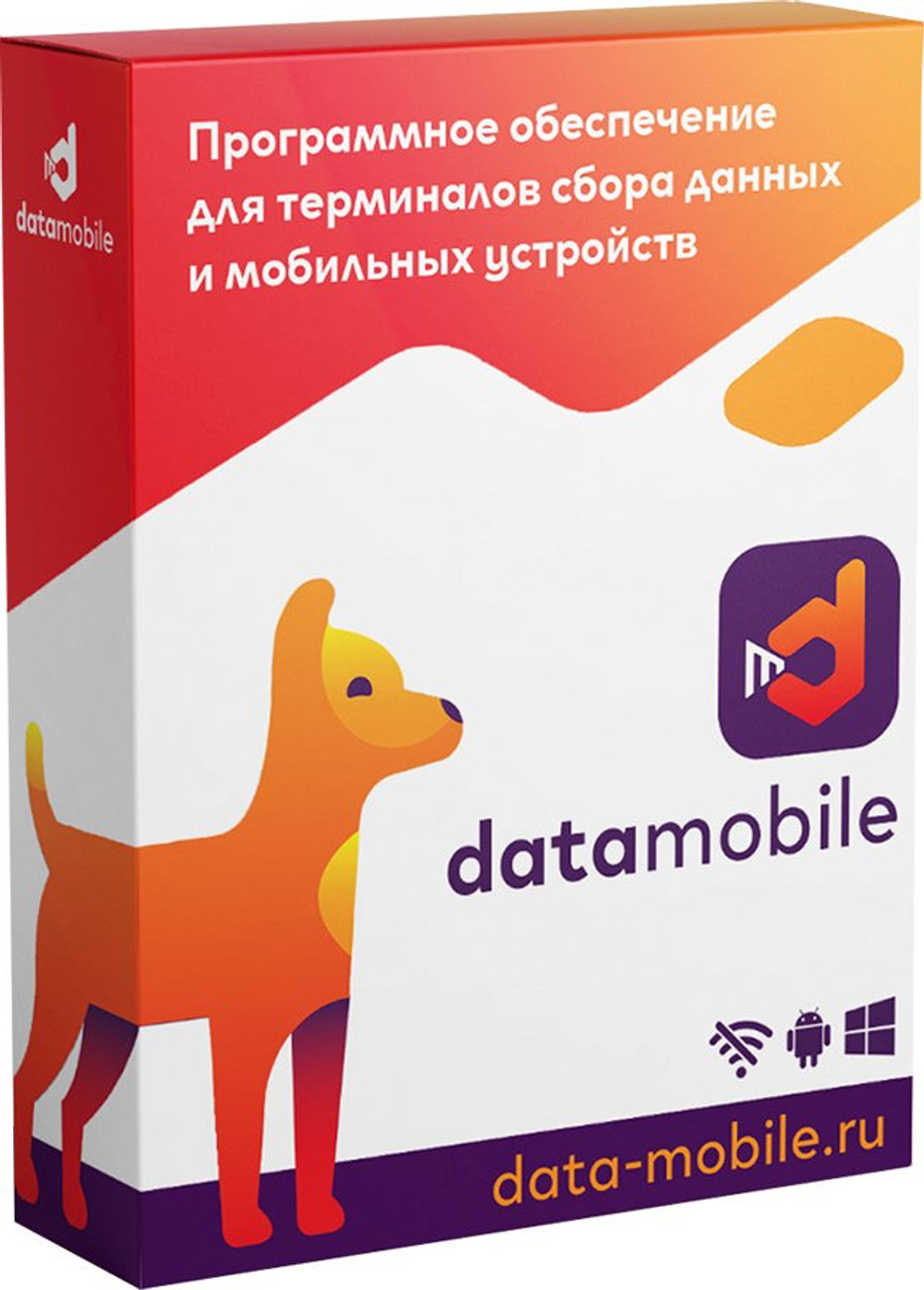 ПО  DataMobile DMPro12m