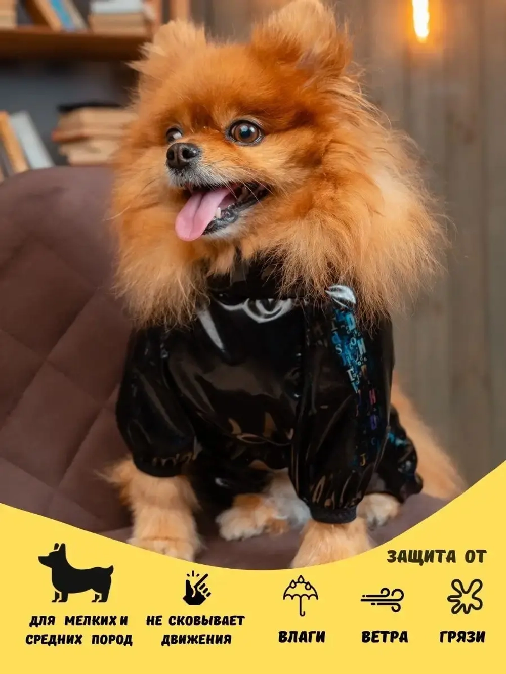 Комбинезон для мелких и средних собак