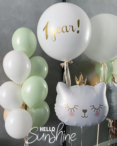 Набор шаров на годик №15