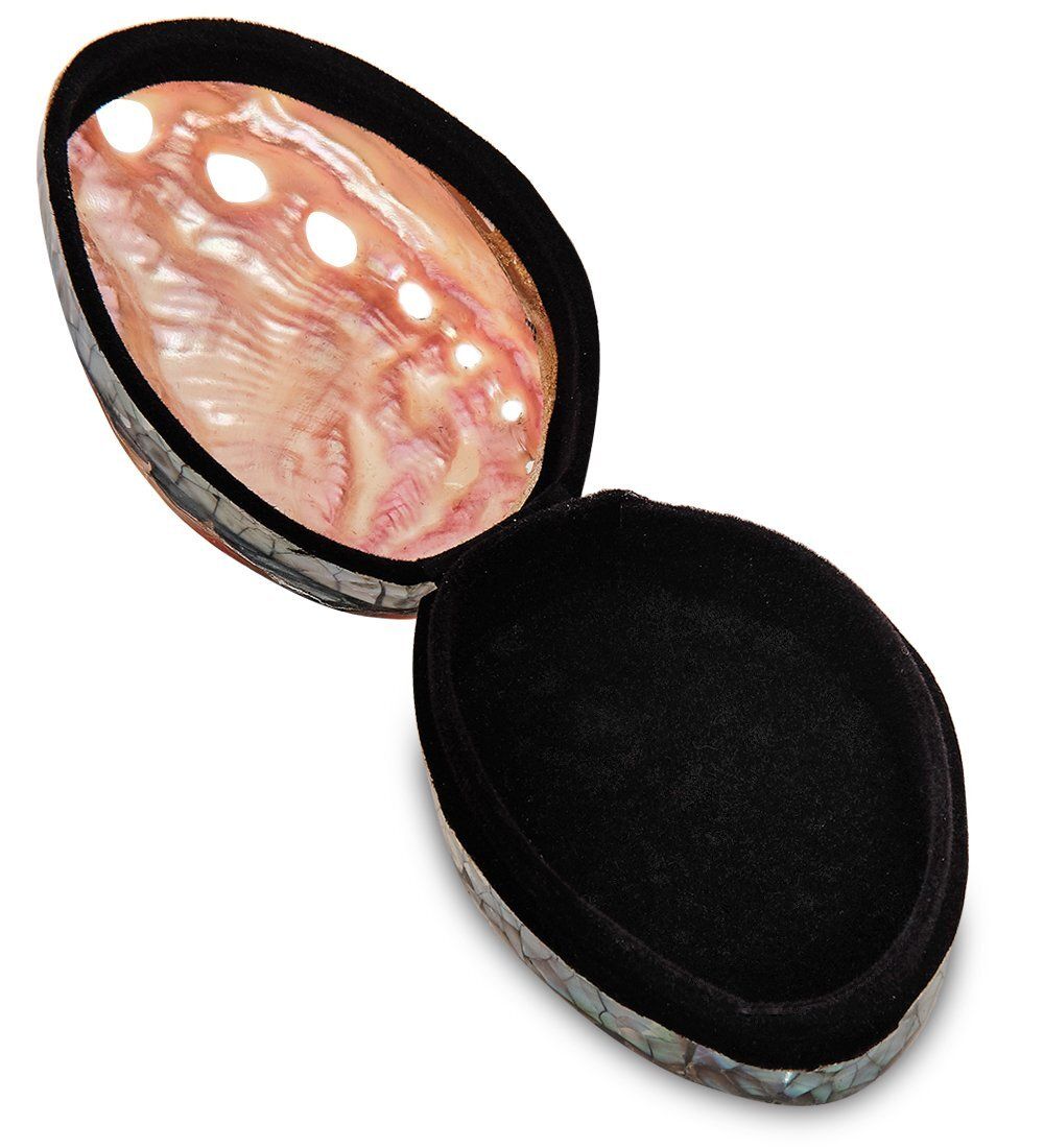 Decor and Gift 54-045-01 Декоративная шкатулка «Ракушка»