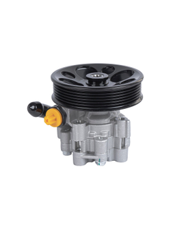 Насос ГУР для Chevrolet Captiva (06-)/Opel Antara (06-) 2.2D GANZ GIL02047