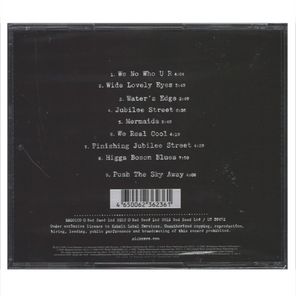Nick Cave & The Bad Seeds / Push The Sky Away (RU)(CD)
