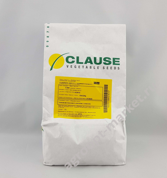 КАМБЕРЛЭНД F1 семена кукурузы (Clause | Alexagro) – фото 3